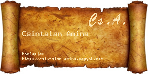 Csintalan Amina névjegykártya